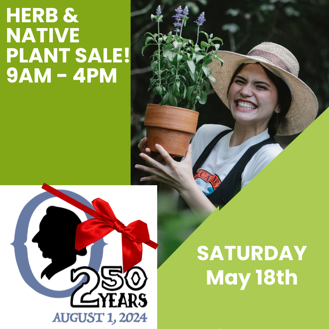 herb-native-plant-faire